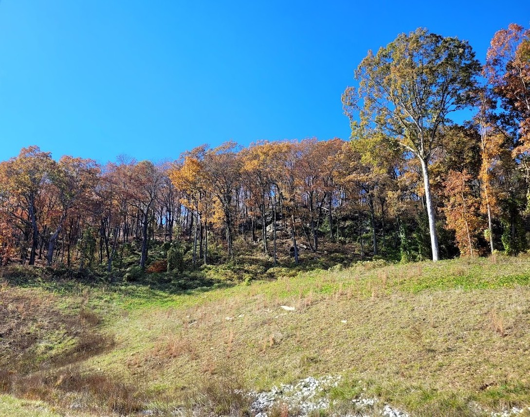 Managing Life Transitions